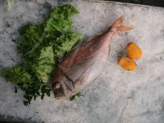 加吉鱼/加级鱼/铜盆鱼/真鲷/红雕/进口海产品/冷冻水产品