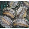 长期供应海带、发菜(龙须菜)、鲍鱼、海参、大黄鱼等各类海产品