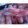 美洲龙虾、熟冻、即食龙虾