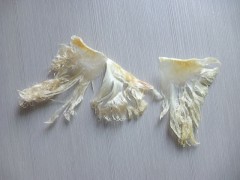 翅散-印尼原产地海产