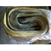鳗鱼-印尼原产地海产