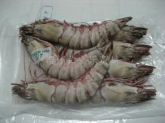 缅甸野生海虎虾