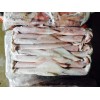 鱿鱼-印尼原产地海产