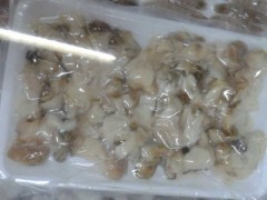 海螺肉切片
