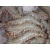 批发进口冷冻对虾 青鳗 黄鳗 熟虾 质优价廉
