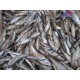 长期大量供应黑龙江麦穗鱼鲜货