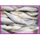 供应各类进口鲳鱼、黄菇鱼