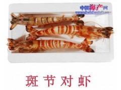 供应斑节虾