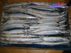 长期供应台湾秋刀鱼