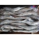 日本鳕鱼-晓琴水产