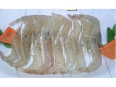脊尾白虾