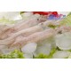 大量供应菲律宾及大马产冰冻优质鱿鱼
