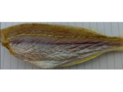 长期供应金线[红三鱼干]咸鱼