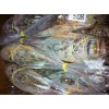 批发美国小蜜蜂龙虾 小蜜蜂龙虾价格130000元/吨