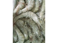 南美白虾品种规格最多当属海之舟