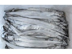 海之舟国产带鱼批发厂家  全世界最好的带鱼