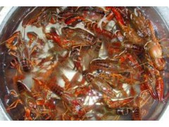 武汉批发小龙虾，对虾，鱿鱼，鲍鱼，海参，带鱼