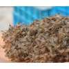 万苗小龙虾培育基地常年出售龙虾苗提供养殖技术