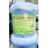 益菌特效肥水膏，水产养殖专用快速肥水，培藻膏