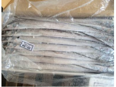 批发印度新鲜冷冻带鱼 带鱼规格型号 带鱼价格