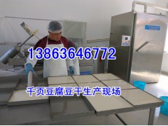 鱼豆腐QQ豆干生产设备，鱼豆腐休闲豆干设备生产线厂家