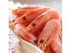 供应 俄罗斯进口虾类海鲜 熟冻牡丹虾 冻牡丹虾