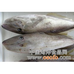 供应马面鱼,日本马面鱼进口马面鱼