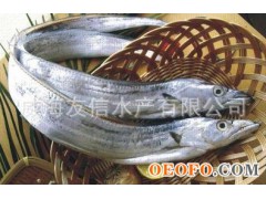 渤海湾刀鱼,质量好的刀鱼,野生刀鱼