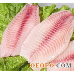 供应鱼肉，金海岸鱼肉，优质鱼肉，各种鱼类鱼肉