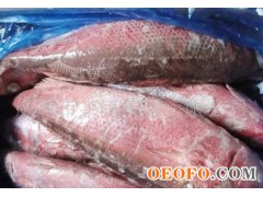 日本红协鱼 生吃鱼 进口高档鱼 珍贵鱼类