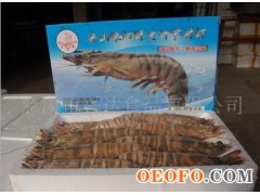 野生竹节虾