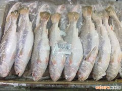印度双鱼牌白菇鱼