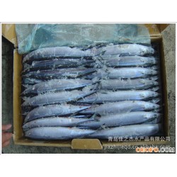 长期稳定供应优质台湾产1号秋刀鱼