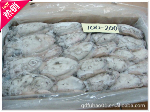 批发供应优质带鱼 冷冻带鱼 0.6-0.8公斤一条