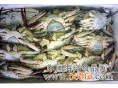 供应厂家供应白蟹  水产品批发  各种鱼类蟹类批发