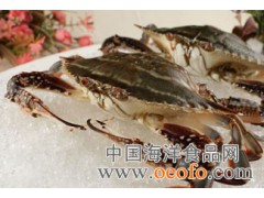 供应优质海海蟹 海蟹 梭子蟹