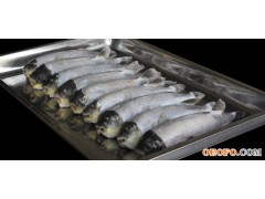 中洋河豚鱼半成品1条装大于600g水产冷冻食品长江三鲜热卖产品