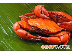 水产品- 供应东港优质鲜活梭子蟹（飞蟹）物美价廉