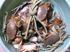 大量供应广东特产软壳蟹，重皮蟹