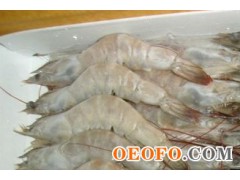 鳕鱼类，鲐鱼类，虾类，贝类大量批发出口加工