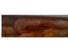 批发供应进口A级牡丹虾（日本甜虾/红虾）