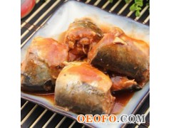 海魁茄汁鲭鱼罐头 深海野生 寿司食材 425g/罐