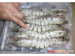 供应各种规格草虾、海捕大虾、各种进口大虾、虾类批发