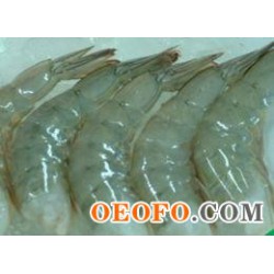 新鮮冷冻虾 (HOSO SHRIMP)