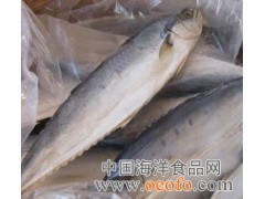 供应马鲛鱼，印尼马鲛鱼，2500g以下/条