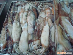 阿根廷鱿鱼 200-300