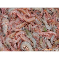 红头虾,红头虾,冷冻虾,口味虾(中国 江苏连云港)