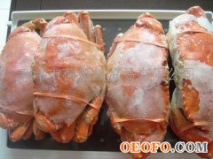 珍宝蟹,蟹,海产品,海鲜(中国 天津天津)