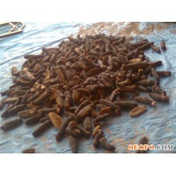 The Mediterranean dried Sea cucumbers(surf red),100%wild,no salted,no sands,no pollution!!