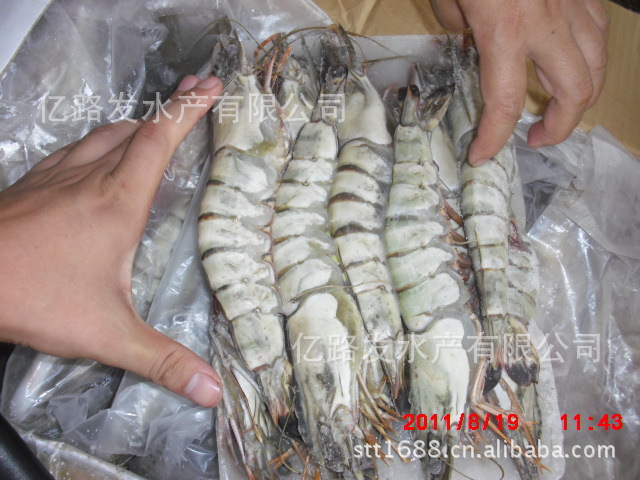 供应各种规格草虾、海捕大虾、各种进口大虾、虾类批发